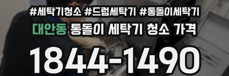 대안동 통돌이 세탁기 청소 가격