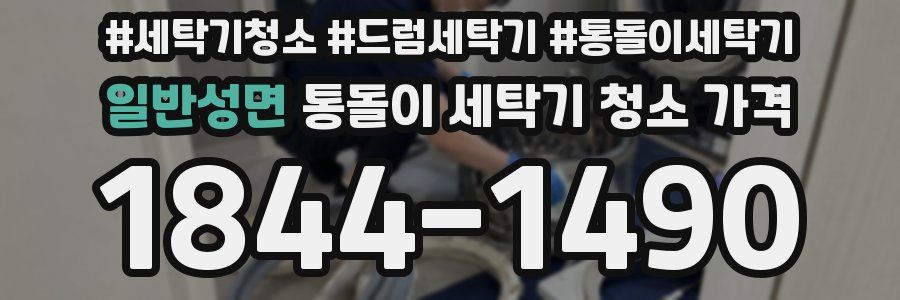일반성면 통돌이 세탁기 청소 가격