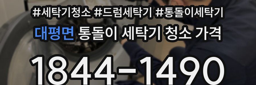 대평면 통돌이 세탁기 청소 가격