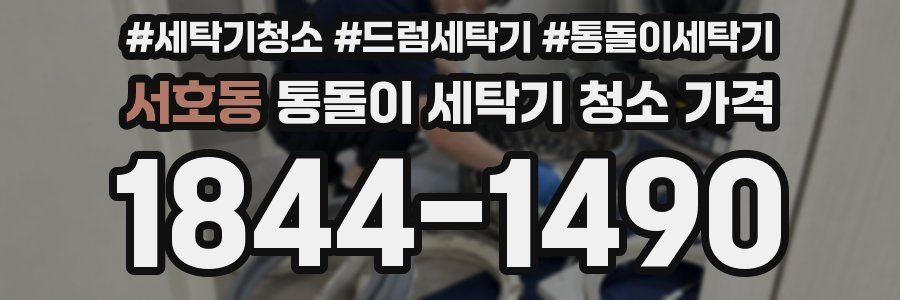 서호동 통돌이 세탁기 청소 가격