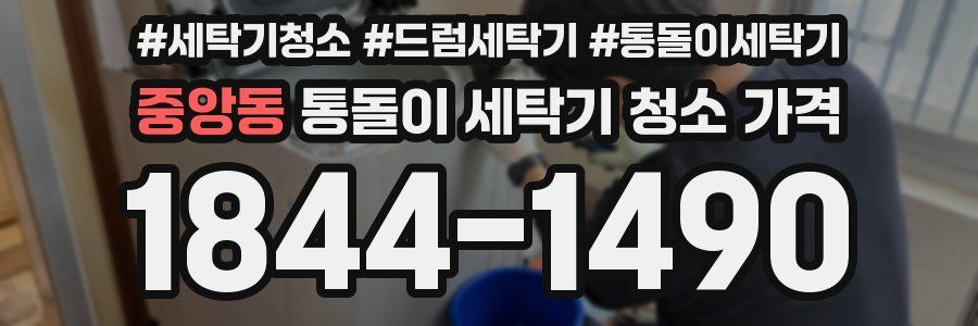 중앙동 통돌이 세탁기 청소 가격
