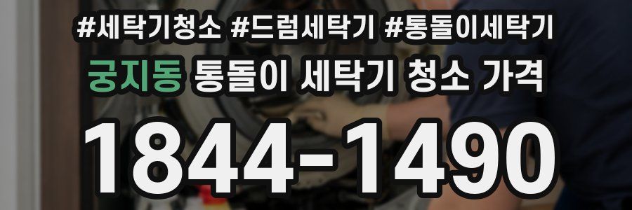 궁지동 통돌이 세탁기 청소 가격