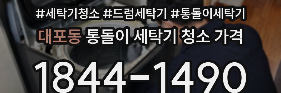 대포동 통돌이 세탁기 청소 가격