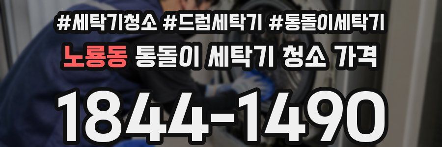 노룡동 통돌이 세탁기 청소 가격