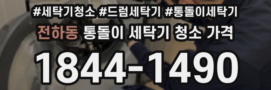 전하동 통돌이 세탁기 청소 가격