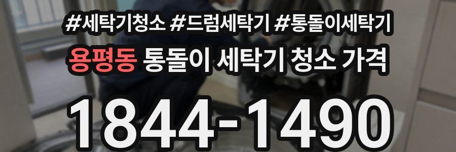 용평동 통돌이 세탁기 청소 가격