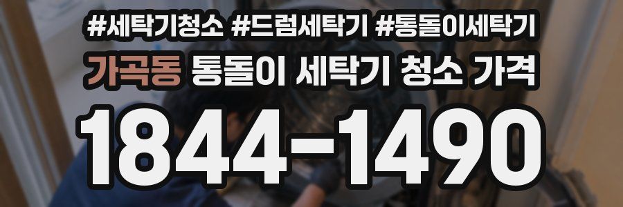 가곡동 통돌이 세탁기 청소 가격
