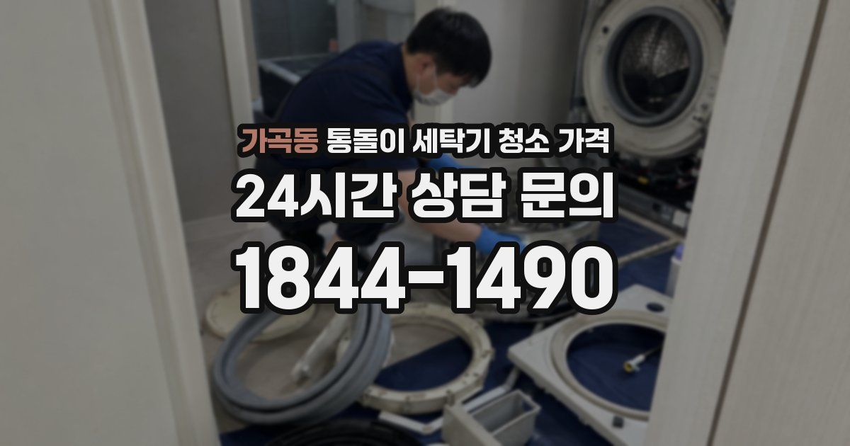 가곡동 통돌이 세탁기 청소 가격