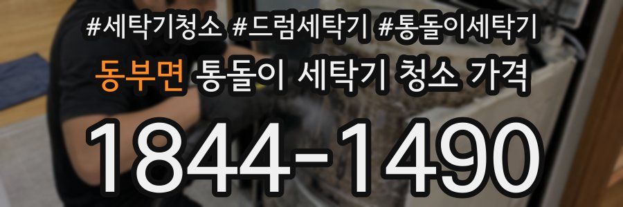 동부면 통돌이 세탁기 청소 가격