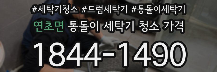 연초면 통돌이 세탁기 청소 가격