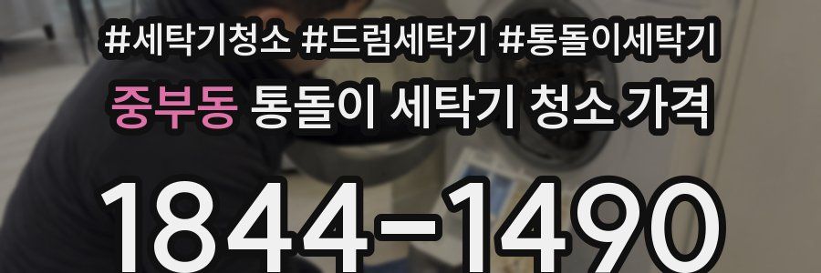 중부동 통돌이 세탁기 청소 가격