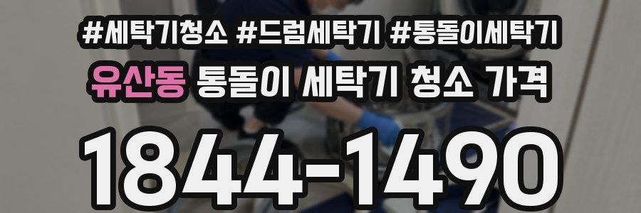 유산동 통돌이 세탁기 청소 가격