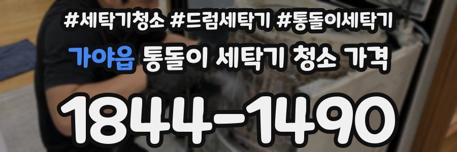 가야읍 통돌이 세탁기 청소 가격