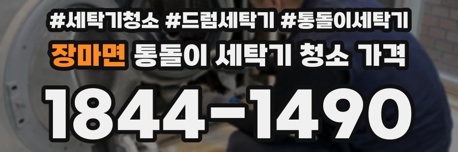 장마면 통돌이 세탁기 청소 가격