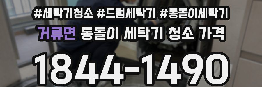 거류면 통돌이 세탁기 청소 가격