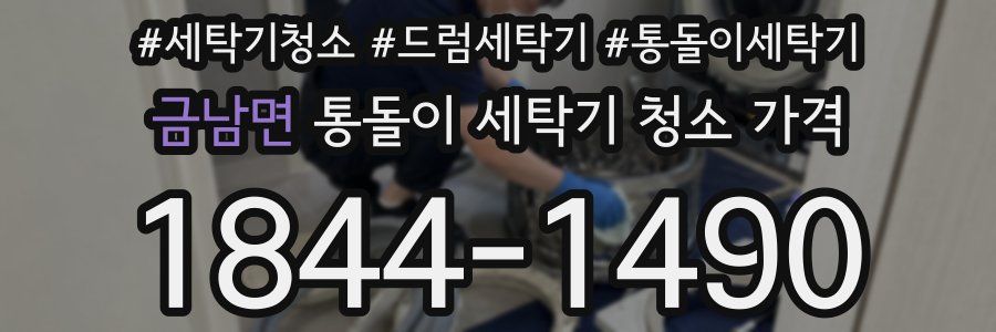 금남면 통돌이 세탁기 청소 가격