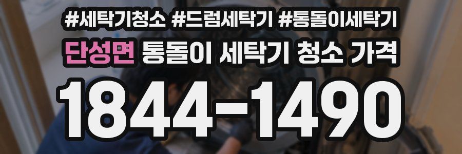 단성면 통돌이 세탁기 청소 가격