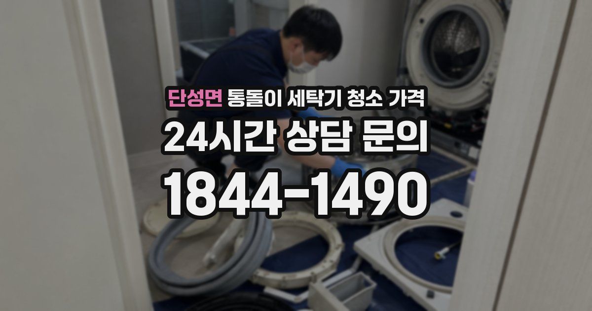 단성면 통돌이 세탁기 청소 가격