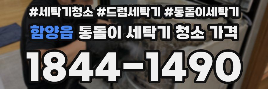 함양읍 통돌이 세탁기 청소 가격