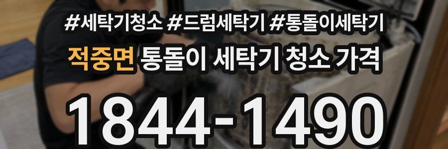 적중면 통돌이 세탁기 청소 가격