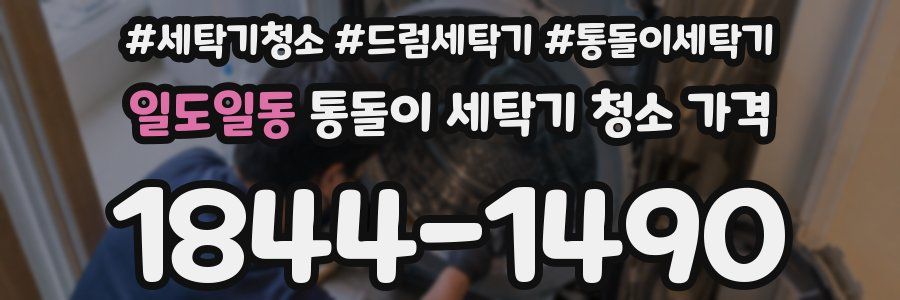 일도일동 통돌이 세탁기 청소 가격