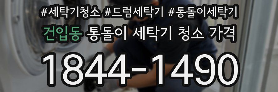 건입동 통돌이 세탁기 청소 가격