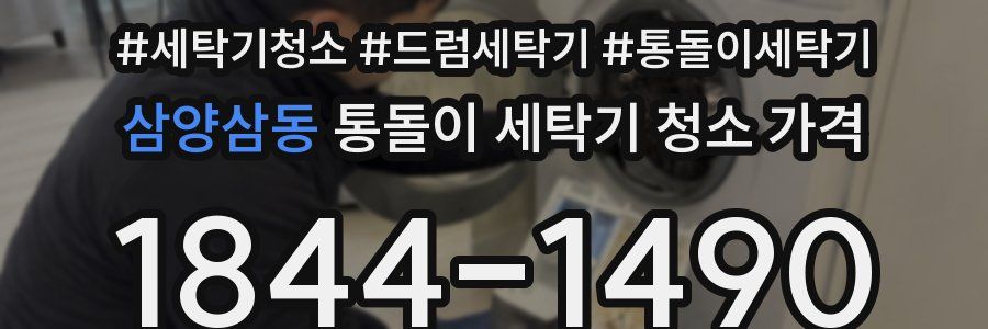 삼양삼동 통돌이 세탁기 청소 가격