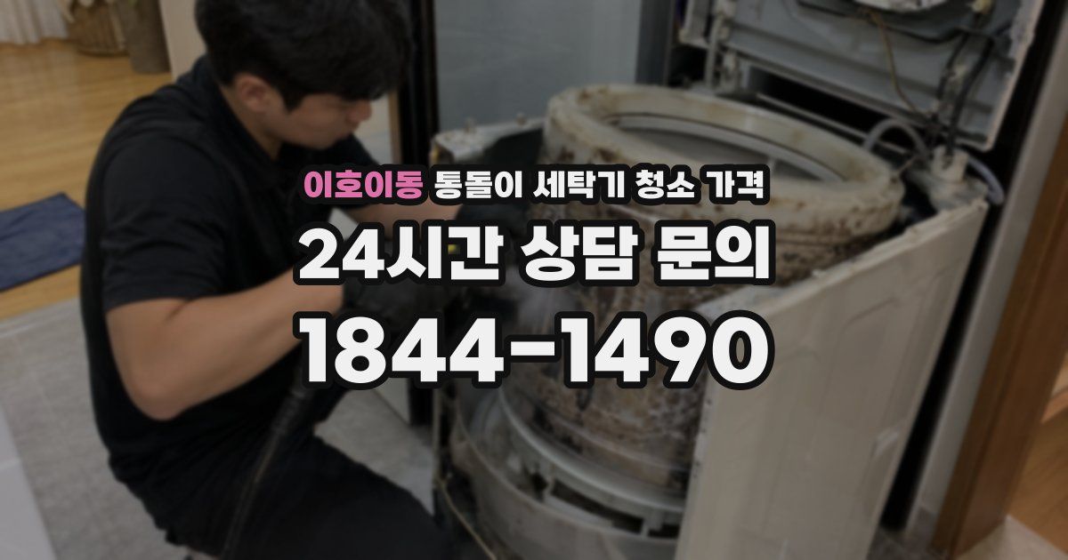 이호이동 통돌이 세탁기 청소 가격