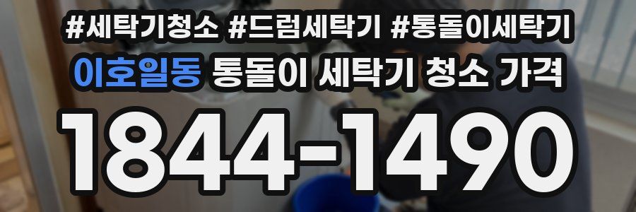 이호일동 통돌이 세탁기 청소 가격