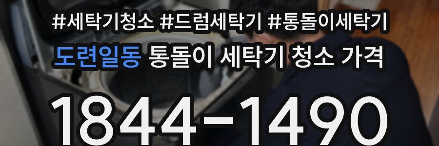 도련일동 통돌이 세탁기 청소 가격