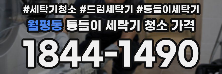 월평동 통돌이 세탁기 청소 가격