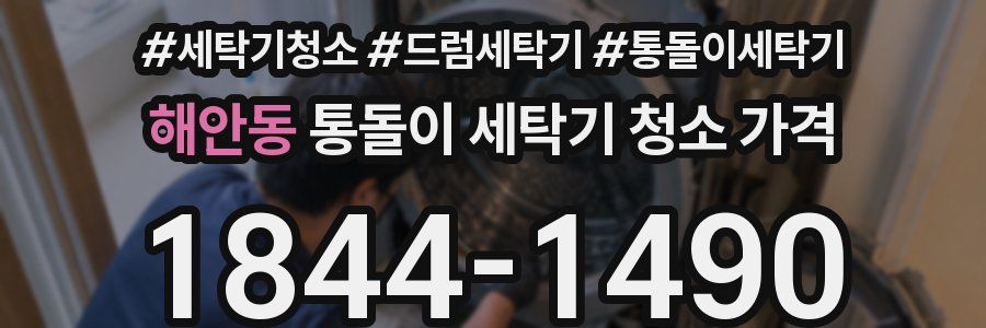 해안동 통돌이 세탁기 청소 가격