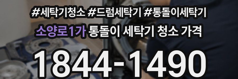 소양로1가 통돌이 세탁기 청소 가격