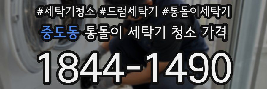 중도동 통돌이 세탁기 청소 가격