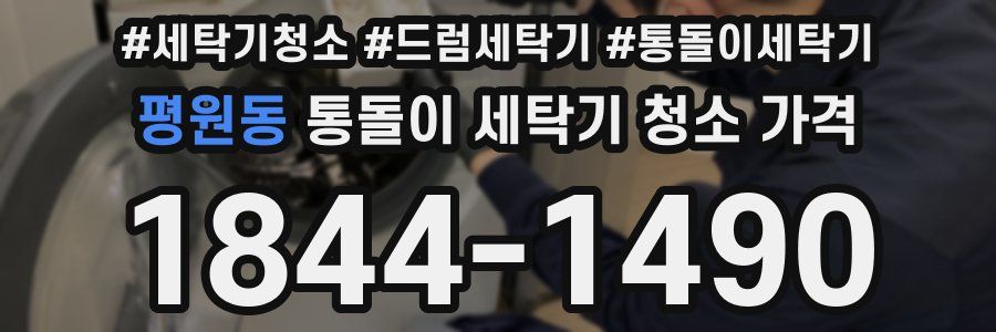 평원동 통돌이 세탁기 청소 가격