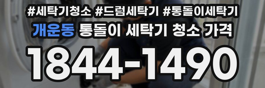 개운동 통돌이 세탁기 청소 가격