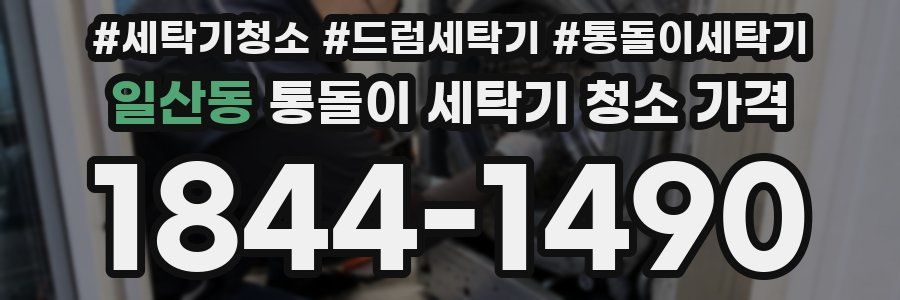 일산동 통돌이 세탁기 청소 가격
