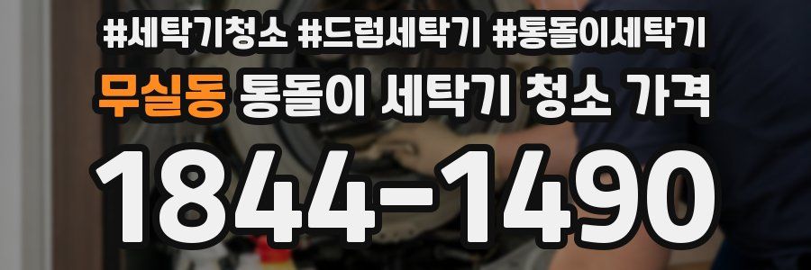 무실동 통돌이 세탁기 청소 가격