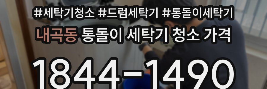 내곡동 통돌이 세탁기 청소 가격