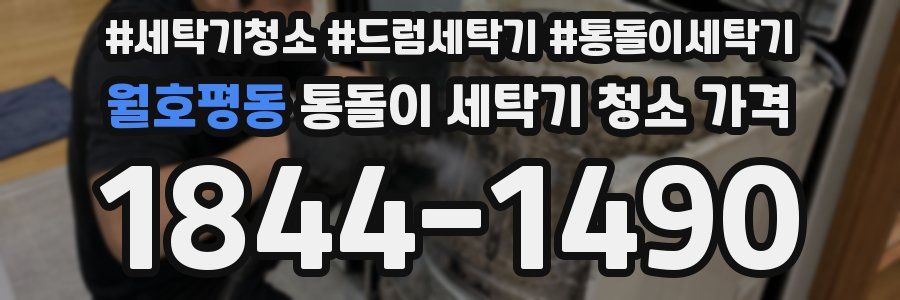 월호평동 통돌이 세탁기 청소 가격