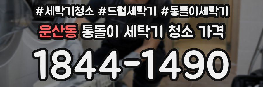 운산동 통돌이 세탁기 청소 가격