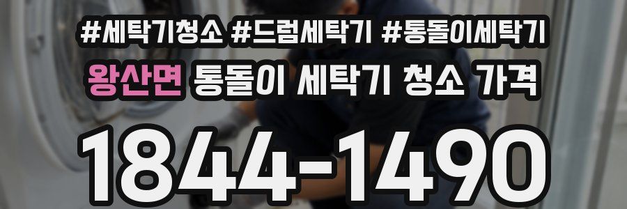 왕산면 통돌이 세탁기 청소 가격