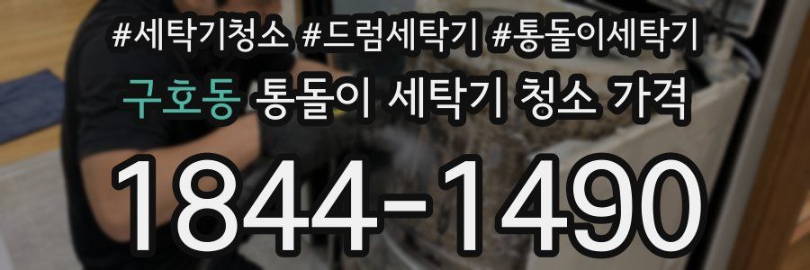 구호동 통돌이 세탁기 청소 가격