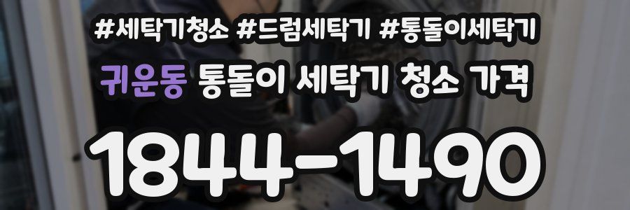 귀운동 통돌이 세탁기 청소 가격