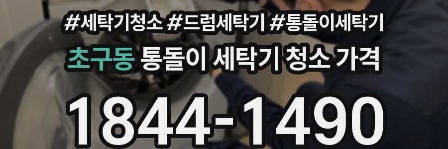 초구동 통돌이 세탁기 청소 가격