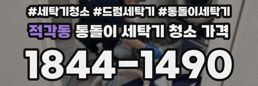 적각동 통돌이 세탁기 청소 가격