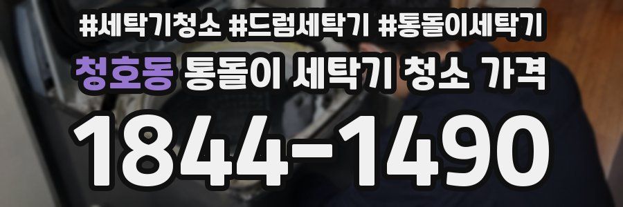 청호동 통돌이 세탁기 청소 가격