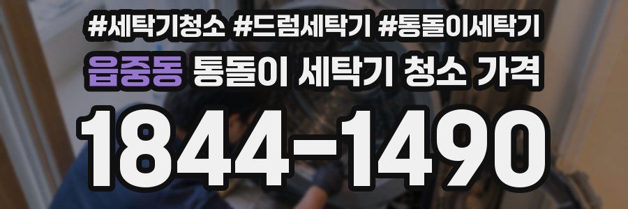 읍중동 통돌이 세탁기 청소 가격