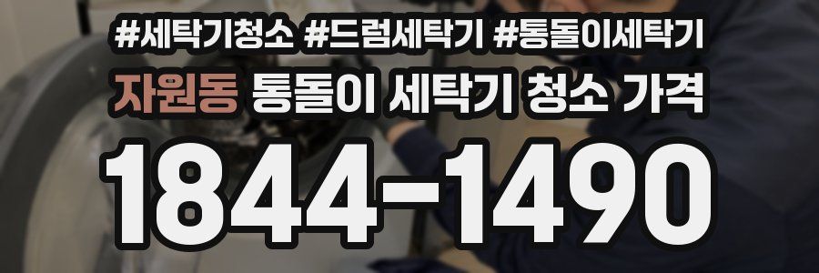 자원동 통돌이 세탁기 청소 가격