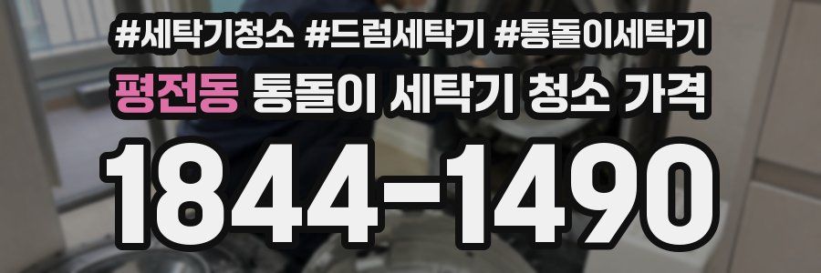 평전동 통돌이 세탁기 청소 가격